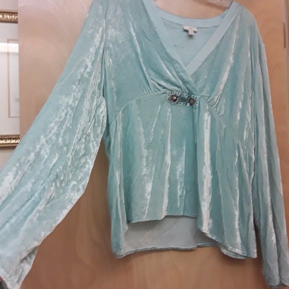 J. Jill Tops - J. Jill blue velvet vneck embroidered top L